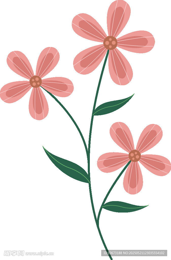 三朵粉色花朵插画