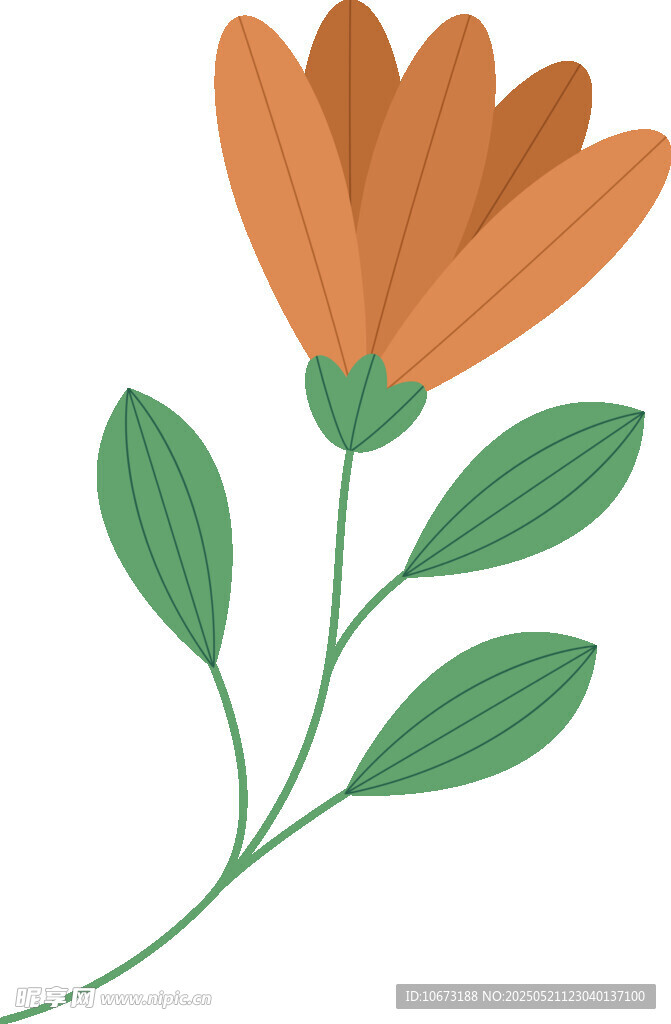 橙色花朵插画