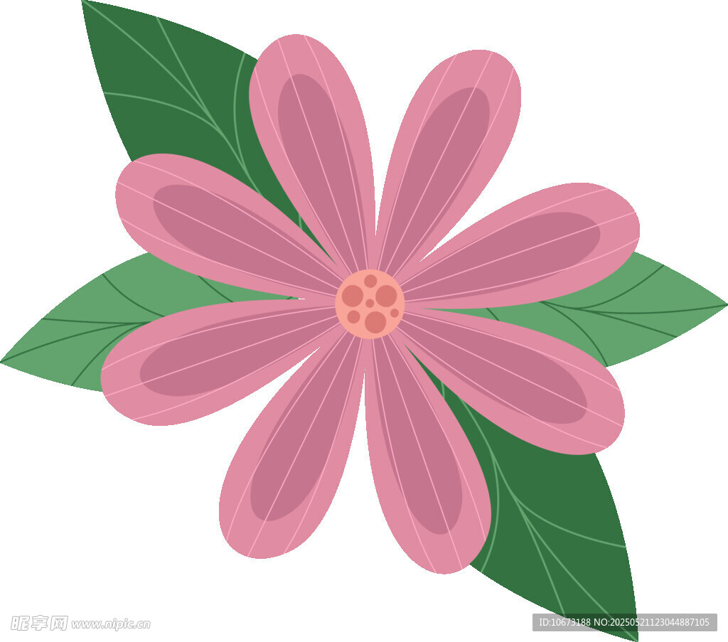 粉色花朵配绿叶插画