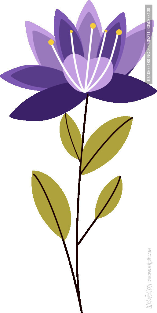 紫色花朵插画