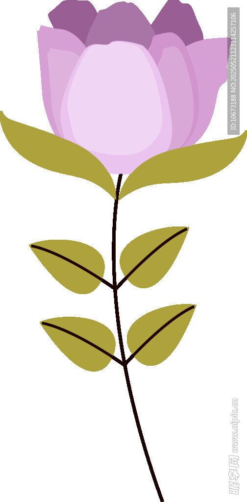 紫色花朵插画