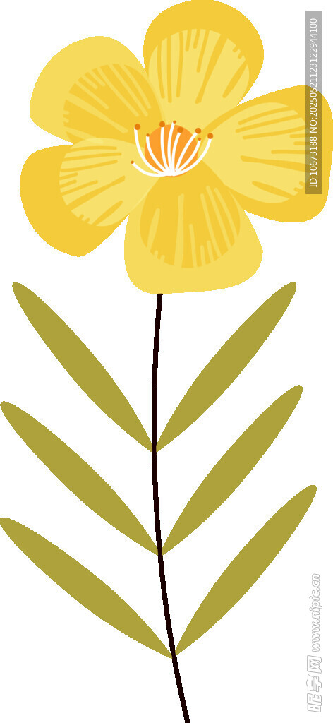 黄色花朵配绿叶插画