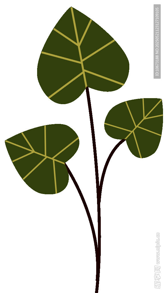 三片心形叶脉植物插画