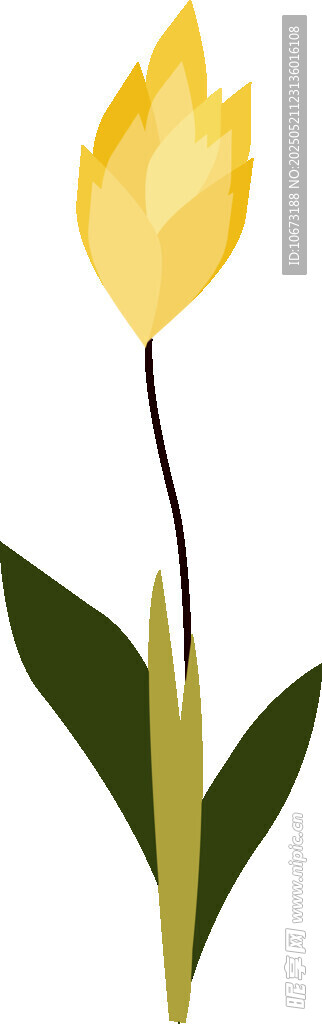 黄色花朵插画