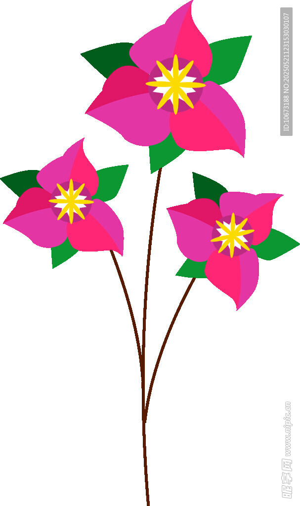 三朵艳丽粉色花朵插画