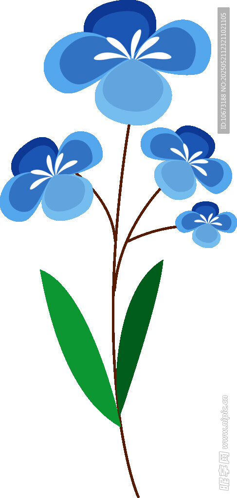 蓝色花朵插画