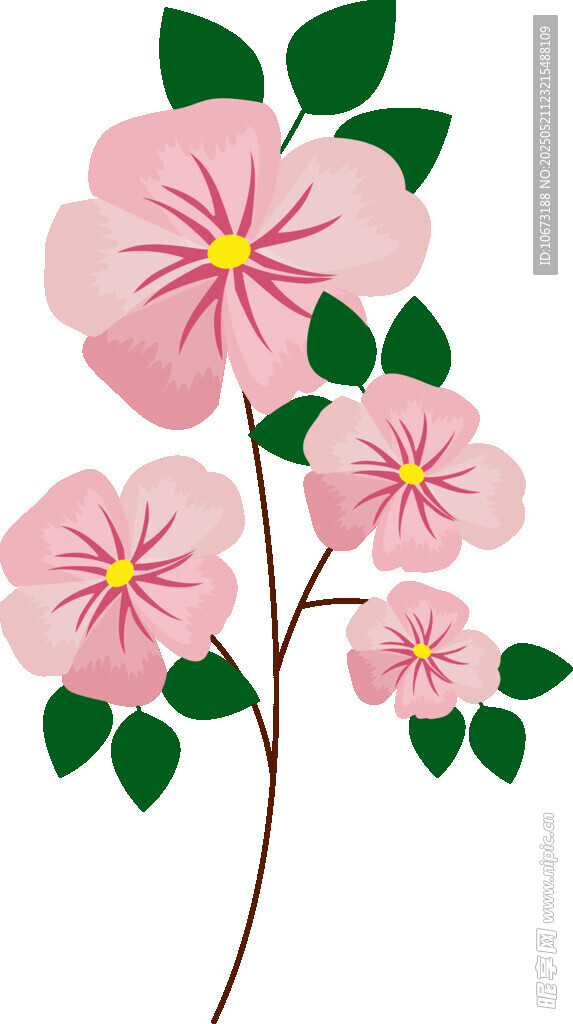 粉色花朵插画