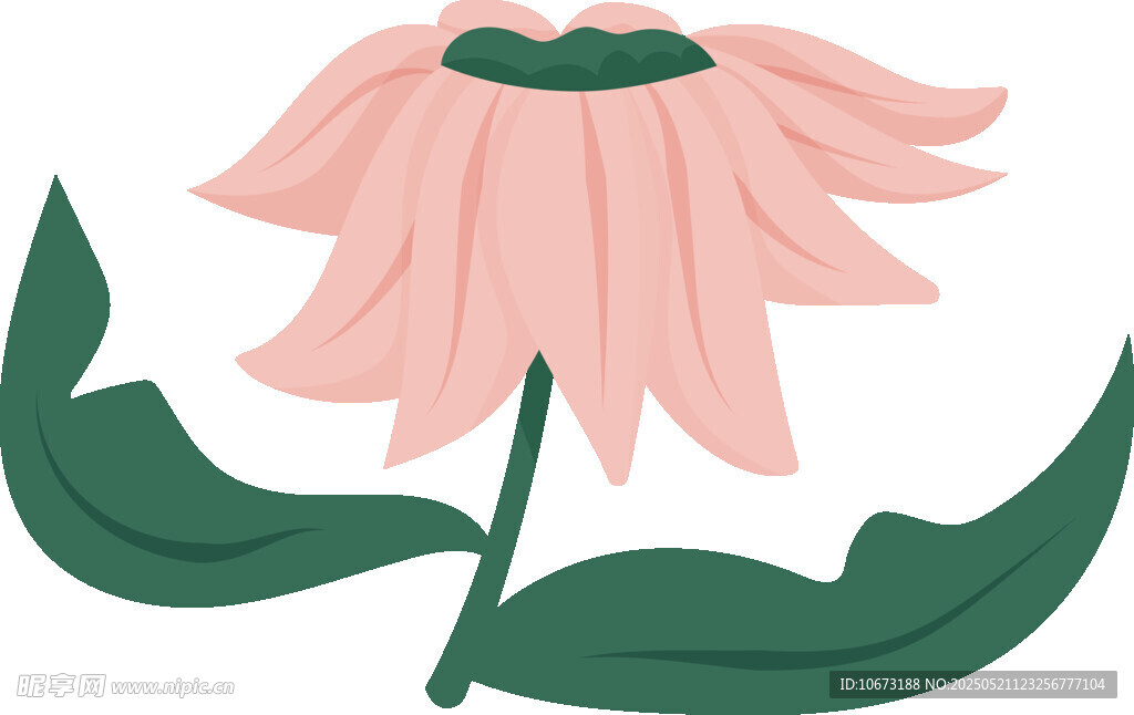 粉色花朵插画