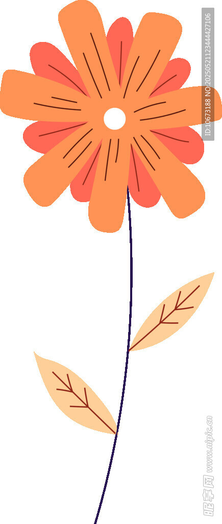 橙色花朵插画