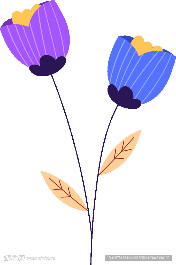 两朵绚丽花朵插画