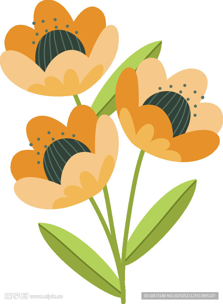 橙色花朵插画
