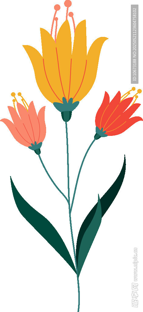 手绘多彩花朵插画