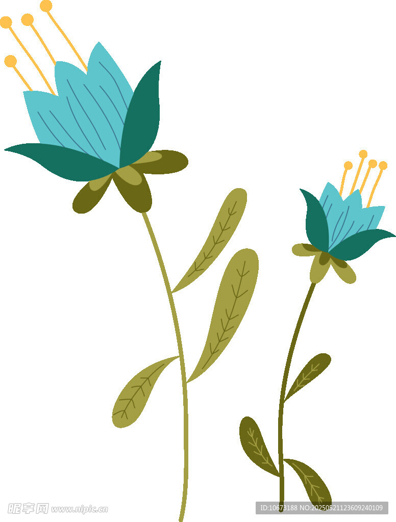 两朵蓝色花朵插画
