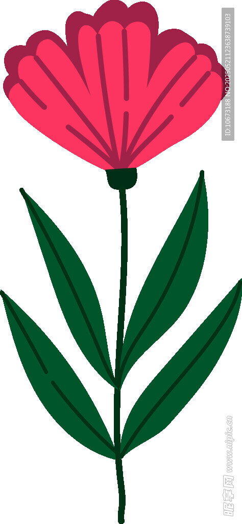 红色花朵插画