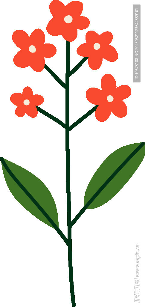 红色小花插画
