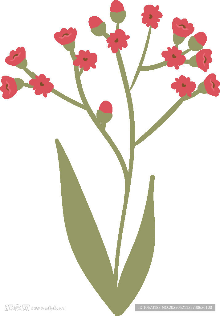 红色小花植物插画