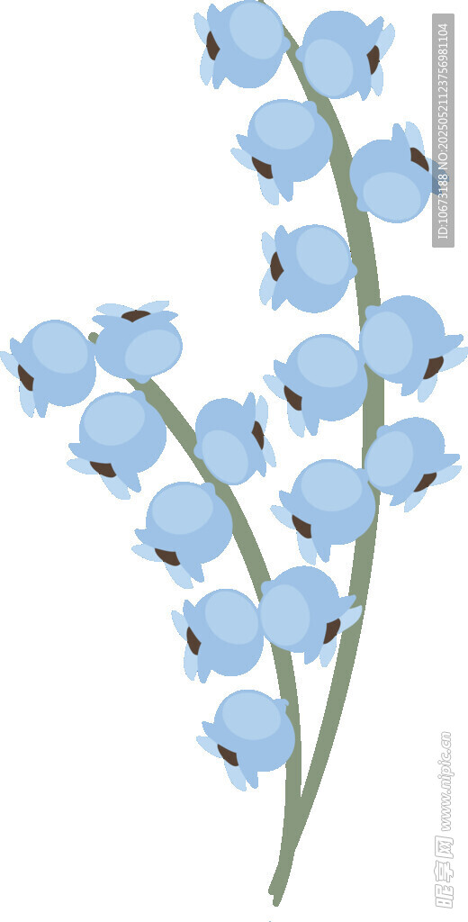 蓝色铃兰花插画图案
