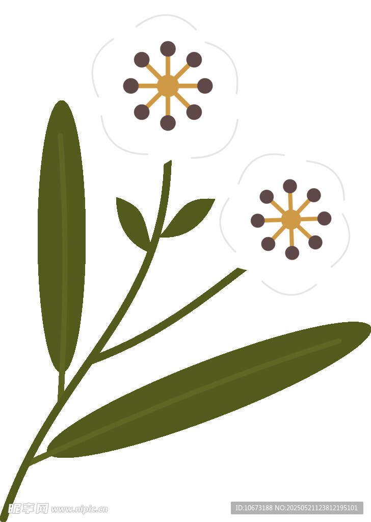 简约手绘双花植物图案