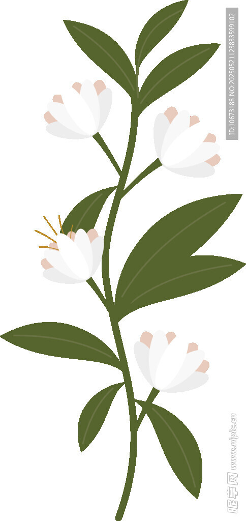 白色小花绿叶植物枝条
