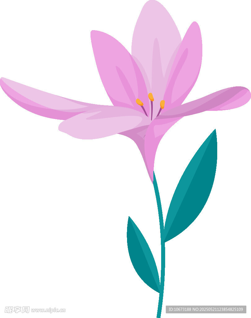 粉色单枝花朵插画