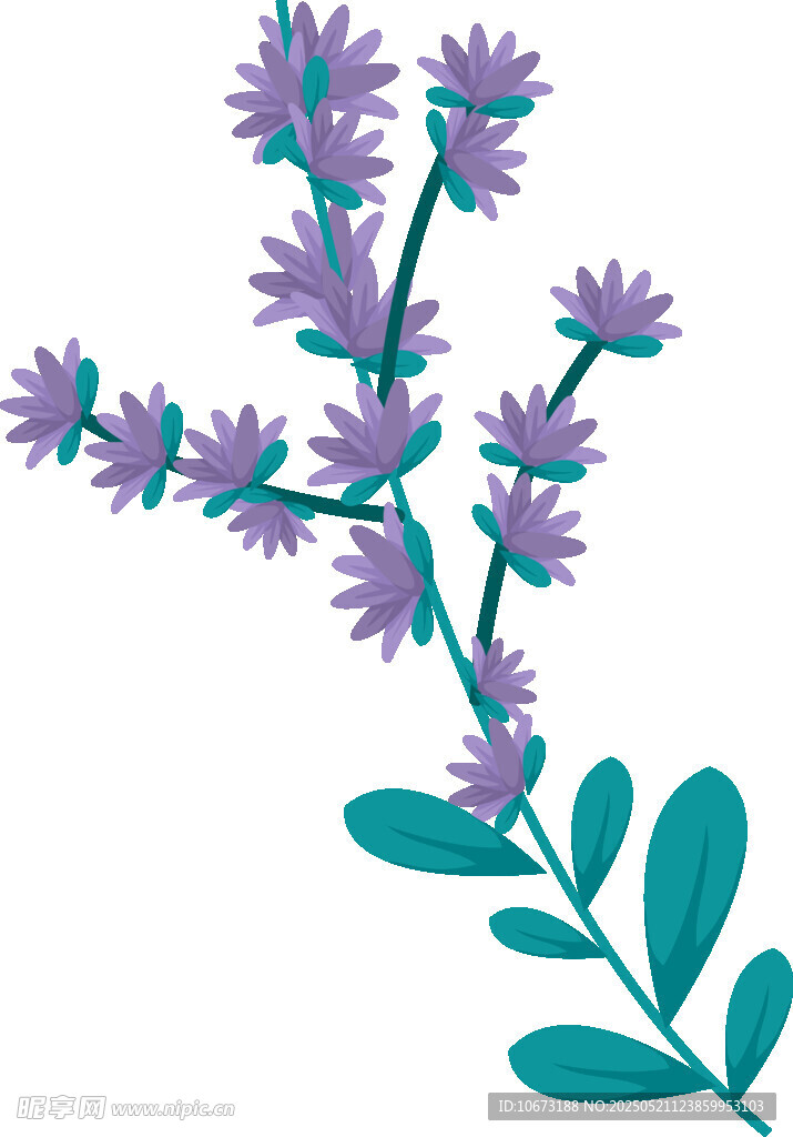 紫色花卉枝叶插画