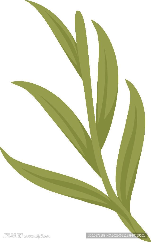 绿色植物枝叶插画