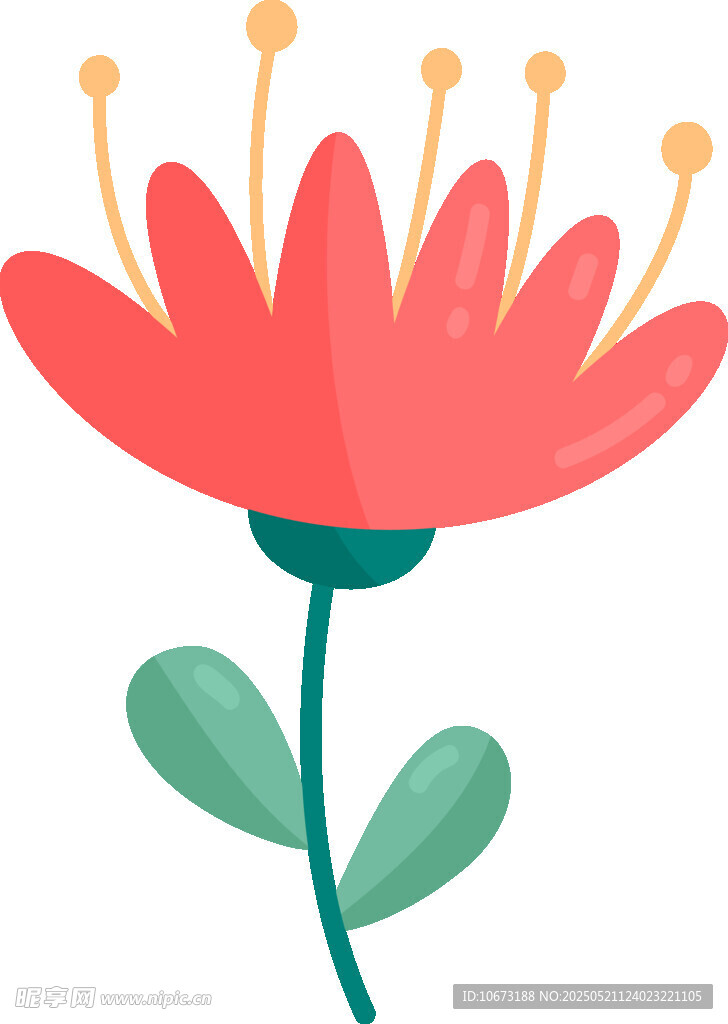 红色花朵插画