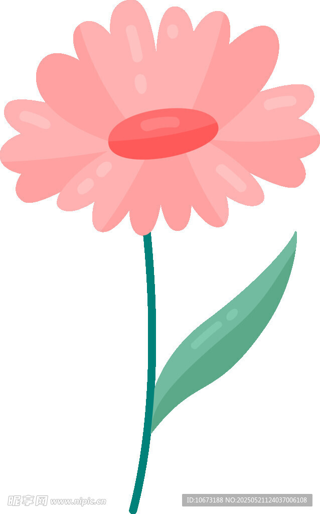 粉色雏菊插画