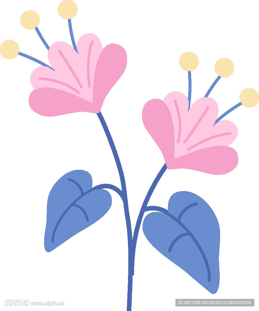双朵粉色花卉插画