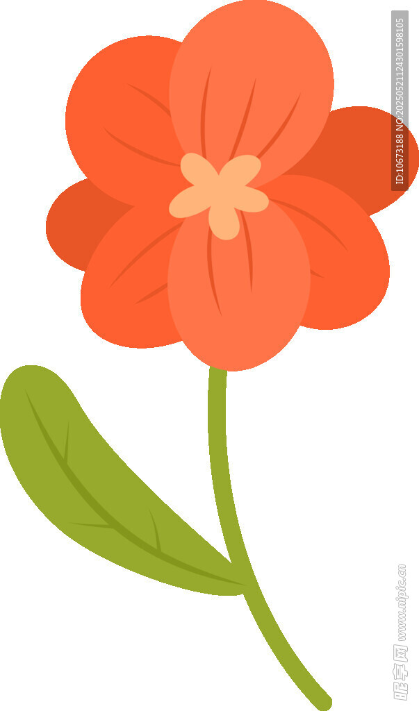 红色花朵插画