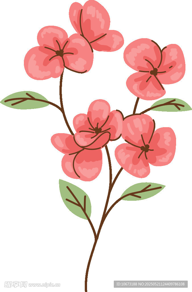 手绘粉色花朵插画