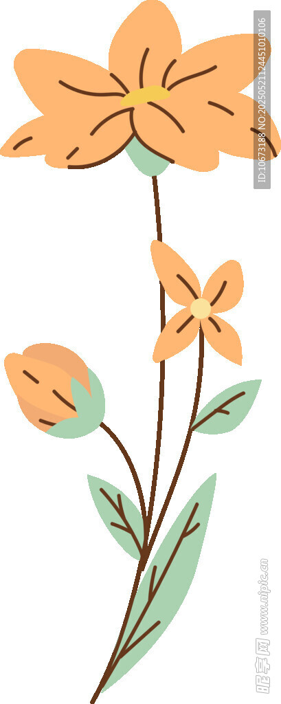 手绘橙色花朵插画