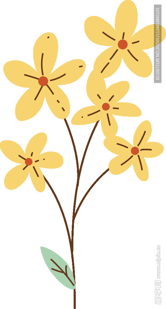 黄色小花插画