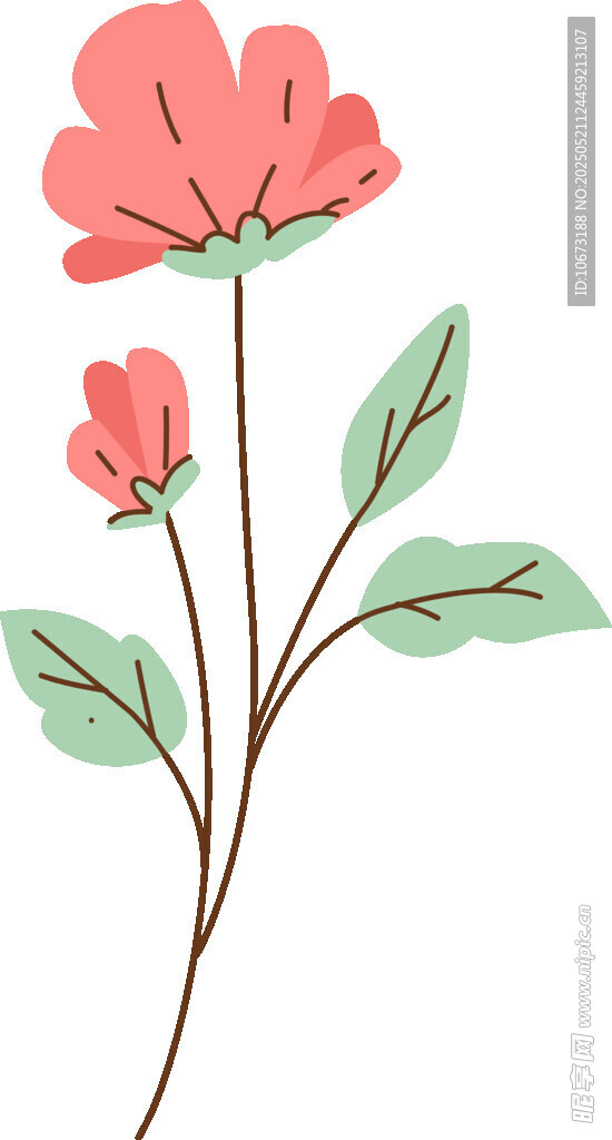 两朵粉色花朵插画