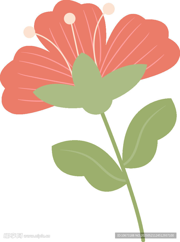 粉色花朵插画