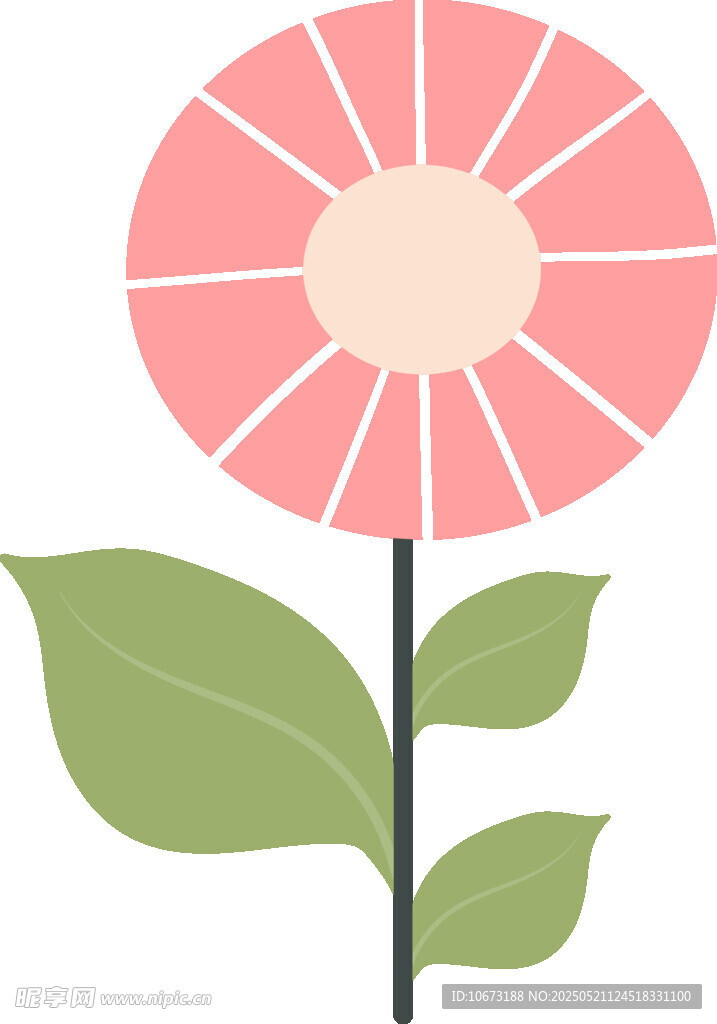 粉色花朵插画