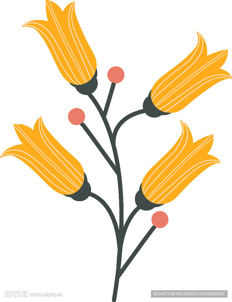 黄色花朵插画