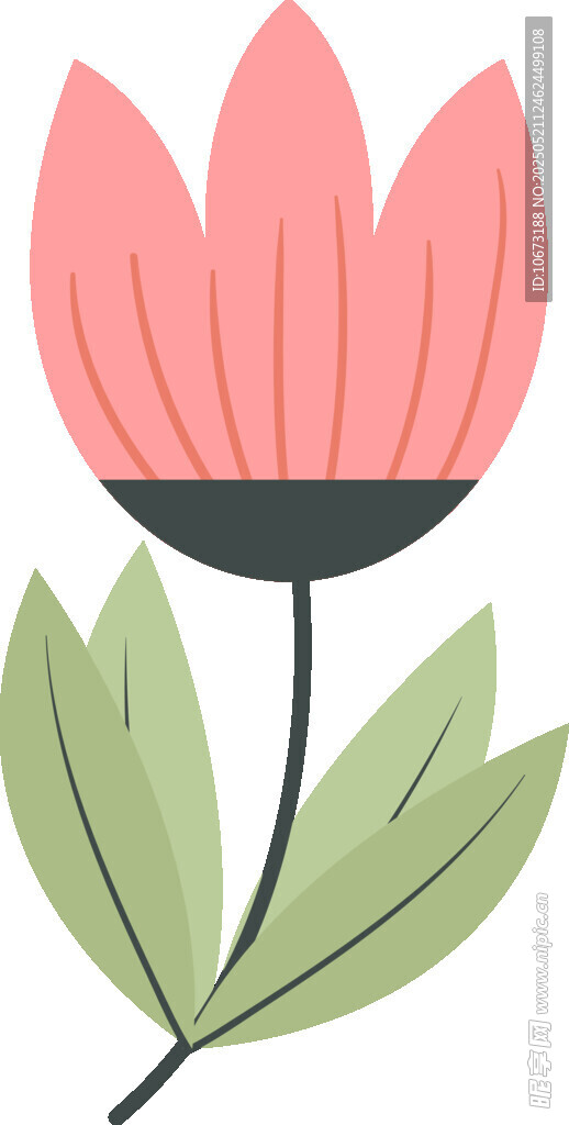 粉色花朵插画