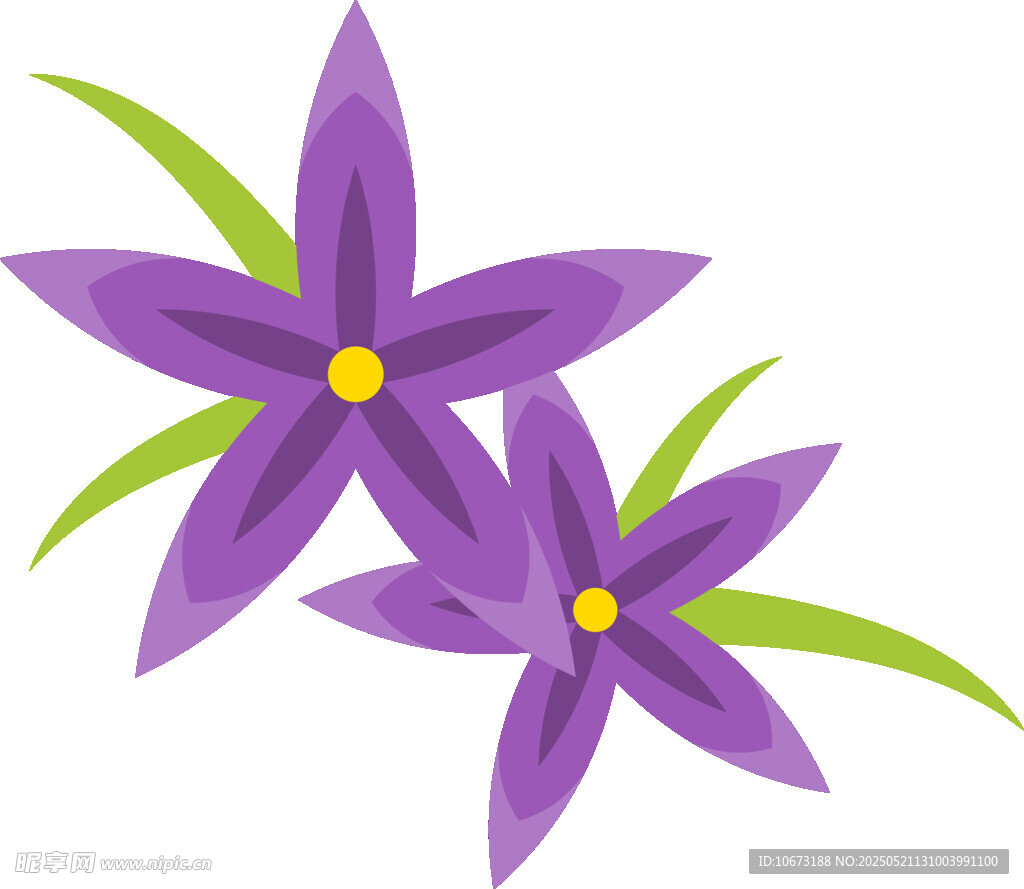 紫色小花插画