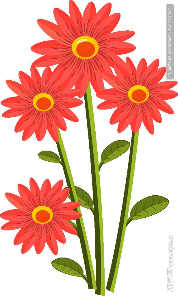 鲜艳红色雏菊插画
