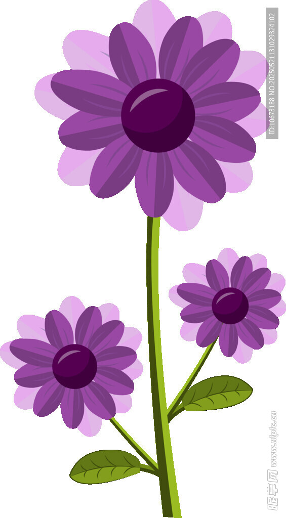 紫色花朵插画