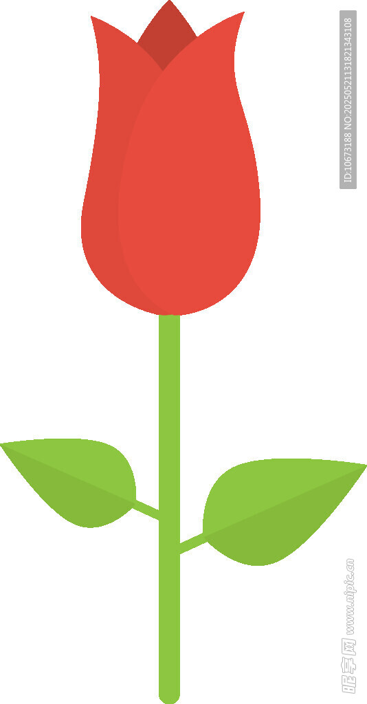 红色郁金香插画图案
