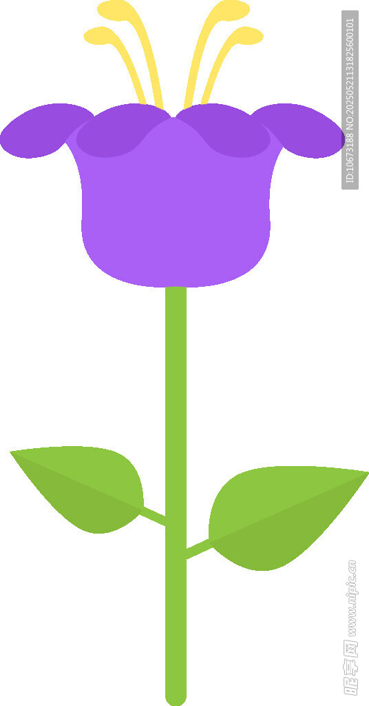 紫色花朵插画