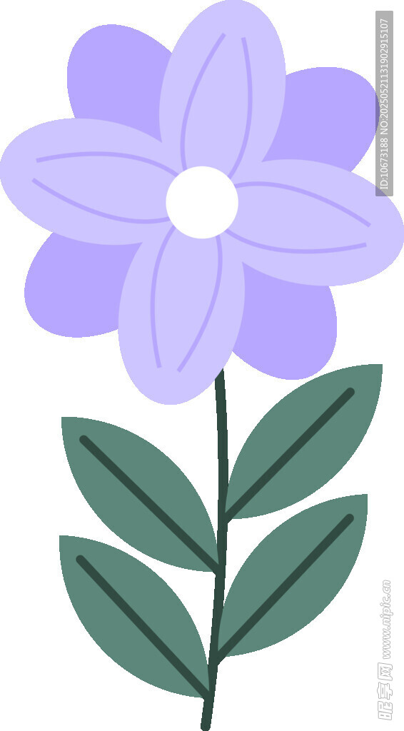 紫色花朵插画