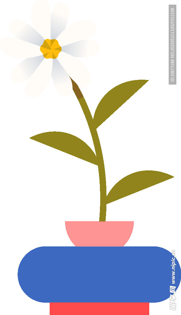 盆栽雏菊插画