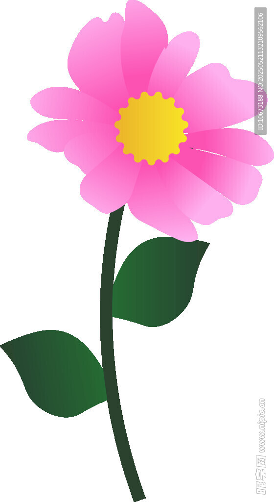 粉色花朵插画