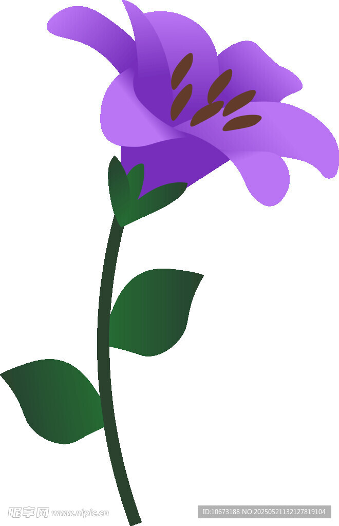紫色花朵插画