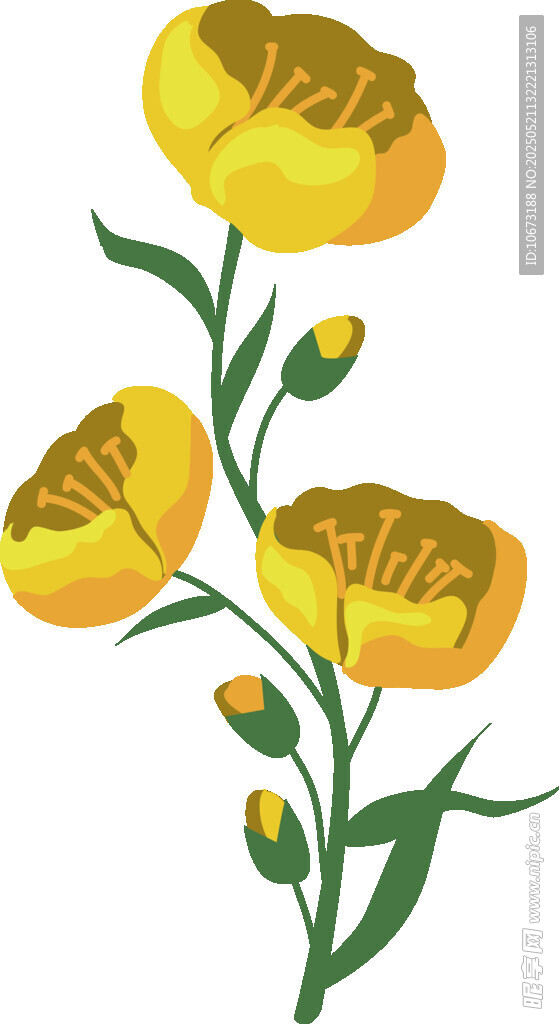 黄色花朵插画