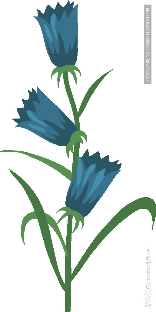 蓝色风铃花插画