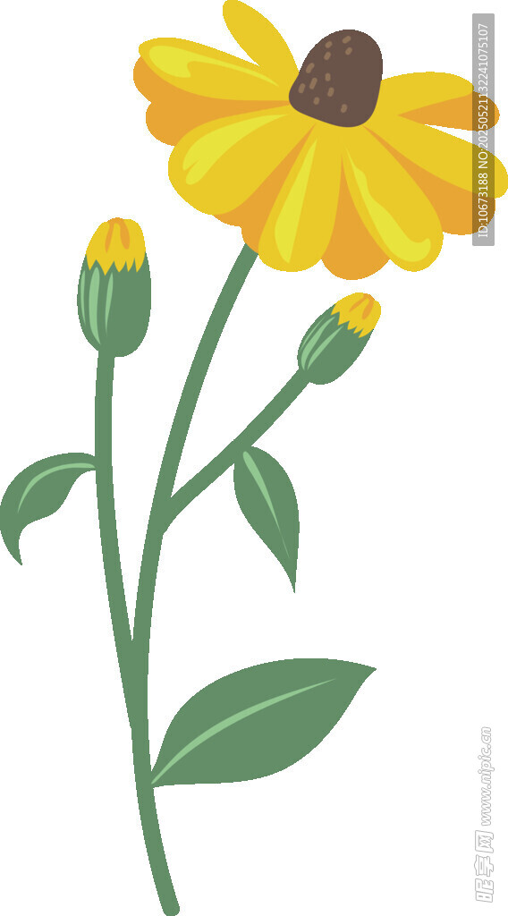 黄色花朵插画